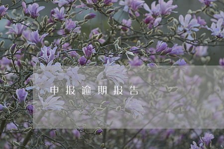 申报逾期报告 申报逾期报告