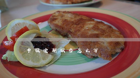 申报逾期报告怎么写 申报逾期报告怎么写