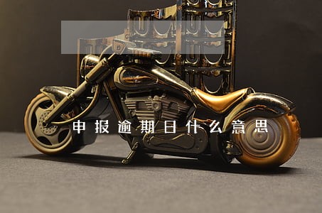 申报逾期日什么意思 申报逾期日什么意思