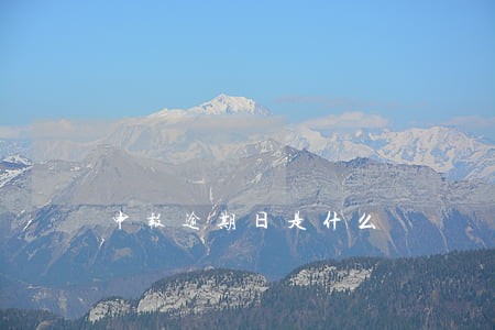 申报逾期日是什么 申报逾期日是什么