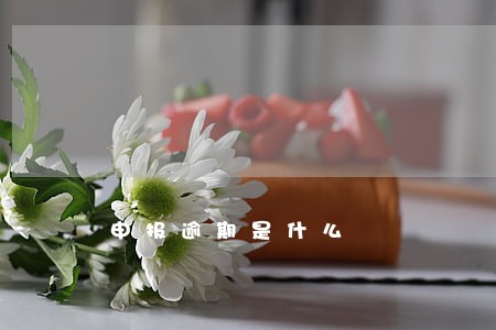 申报逾期是什么 申报逾期是什么