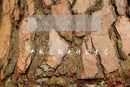 申报逾期是什么意思 申报逾期是什么意思