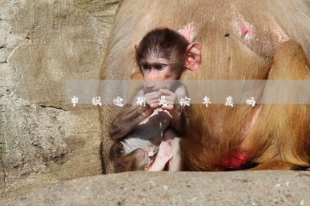 申报逾期是按年度吗 申报逾期是按年度吗