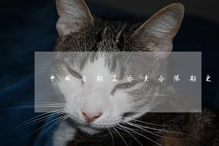 申报逾期显示责令限期更正 申报逾期显示责令限期更正