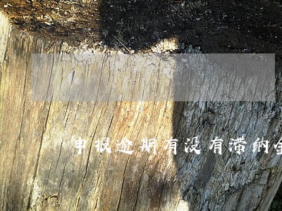 申报逾期有没有滞纳金 申报逾期有没有滞纳金