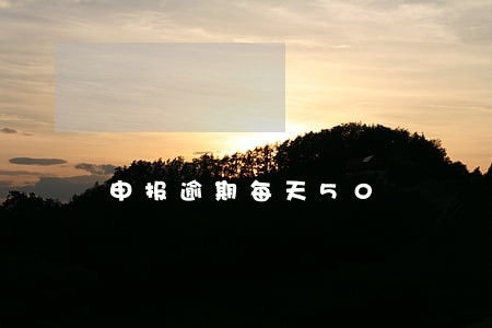 申报逾期每天50 申报逾期每天50