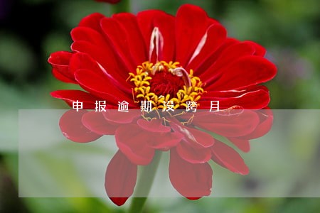 申报逾期没跨月