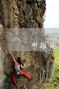申报逾期申报会怎样 申报逾期申报会怎样