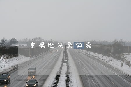 申报逾期登记表 申报逾期登记表