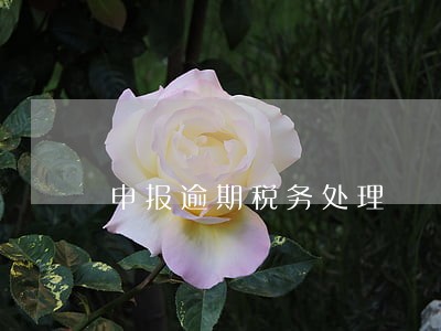 申报逾期税务处理 申报逾期税务处理