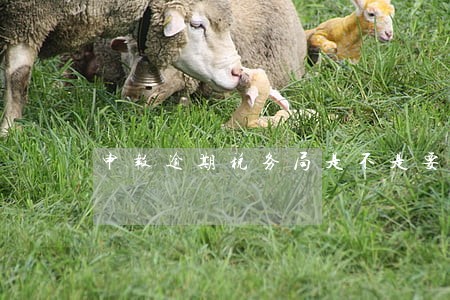 申报逾期税务局是不是要通知企业 申报逾期税务局是不是要通知企业