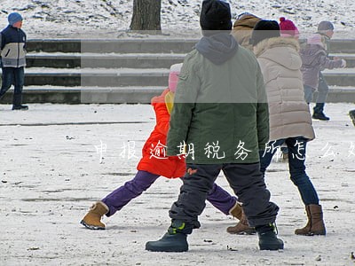 申报逾期税务所怎么处理 申报逾期税务所怎么处理