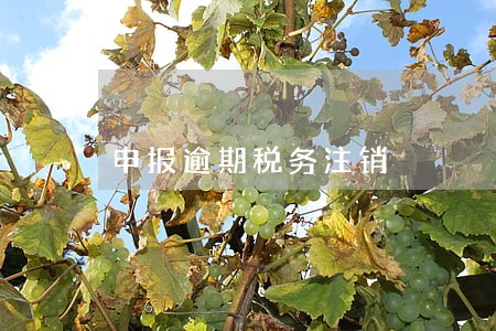 申报逾期税务注销 申报逾期税务注销