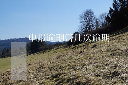 申报逾期算几次逾期 申报逾期算几次逾期