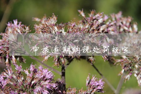 申报逾期纳税处罚规定 申报逾期纳税处罚规定