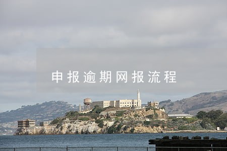申报逾期网报流程 申报逾期网报流程
