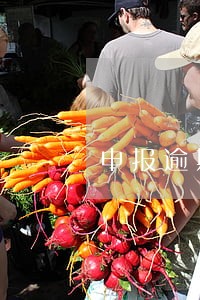 申报逾期罚单多少钱 申报逾期罚单多少钱