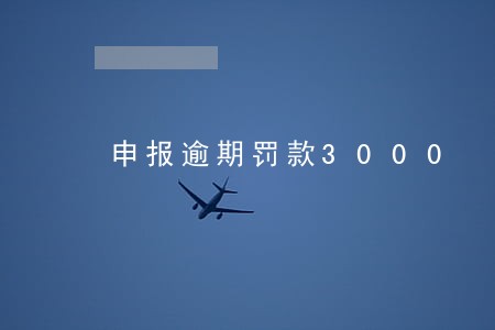 申报逾期罚款3000