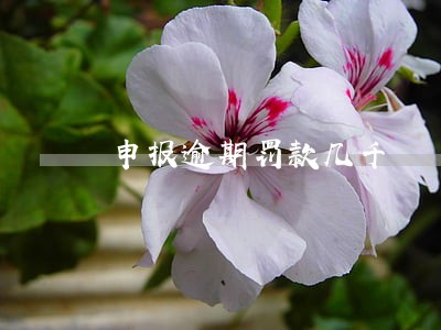 申报逾期罚款几千 申报逾期罚款几千