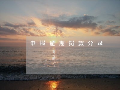 申报逾期罚款分录 申报逾期罚款分录