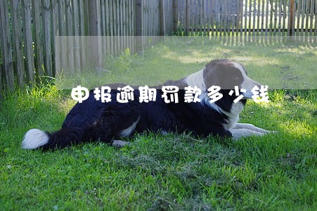 申报逾期罚款多少钱