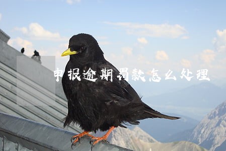 申报逾期罚款怎么处理 申报逾期罚款怎么处理