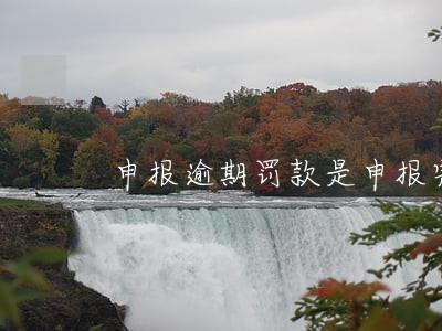 申报逾期罚款是申报完缴纳吗 申报逾期罚款是申报完缴纳吗