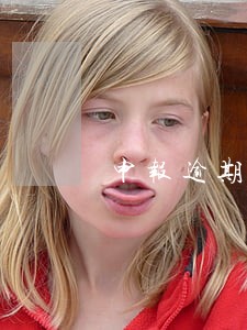 申报逾期罚款未找到有效数据 申报逾期罚款未找到有效数据