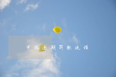 申报逾期罚款流程 申报逾期罚款流程