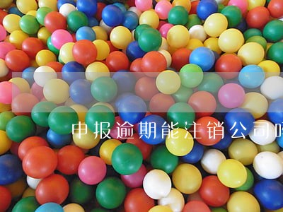 申报逾期能注销公司吗 申报逾期能注销公司吗