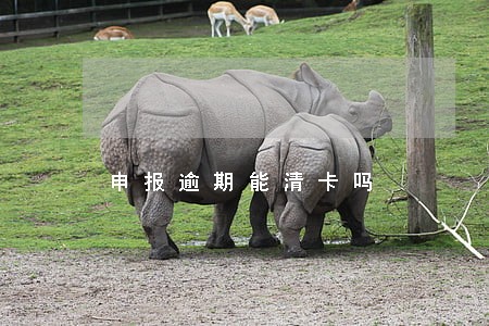 申报逾期能清卡吗 申报逾期能清卡吗