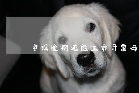 申报逾期还能正常开票吗 申报逾期还能正常开票吗