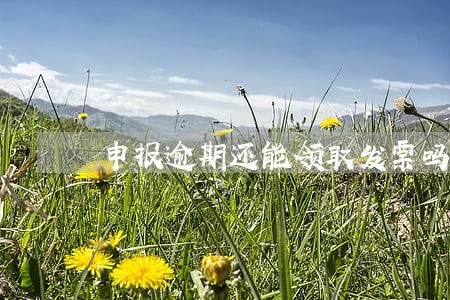 申报逾期还能领取发票吗 申报逾期还能领取发票吗