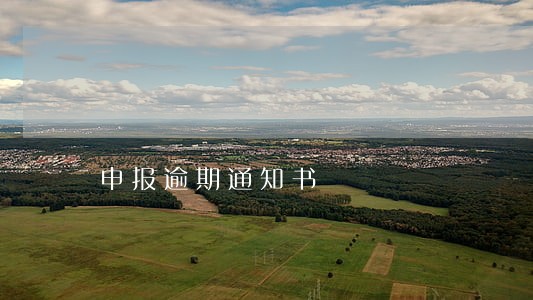 申报逾期通知书 申报逾期通知书
