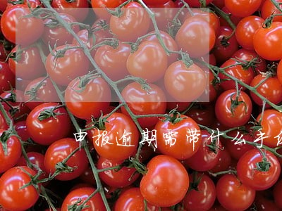 申报逾期需带什么手续 申报逾期需带什么手续