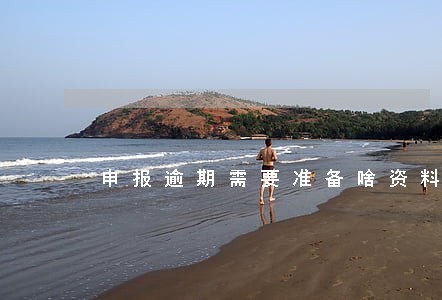 申报逾期需要准备啥资料 申报逾期需要准备啥资料