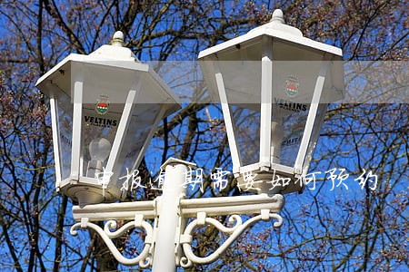 申报逾期需要如何预约 申报逾期需要如何预约