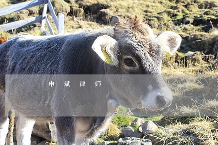 申斌律师 申斌律师