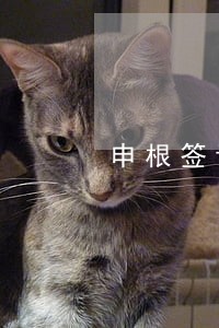 申根签证逾期1小时出关 申根签证逾期1小时出关