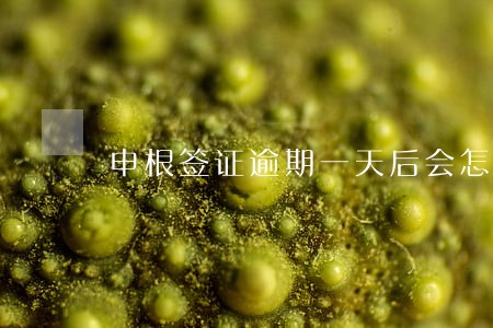 申根签证逾期一天后会怎样 申根签证逾期一天后会怎样