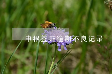 申根签证逾期不良记录 申根签证逾期不良记录