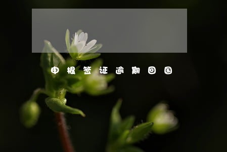 申根签证逾期回国 申根签证逾期回国