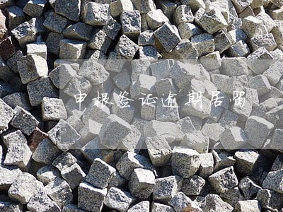 申根签证逾期居留 申根签证逾期居留