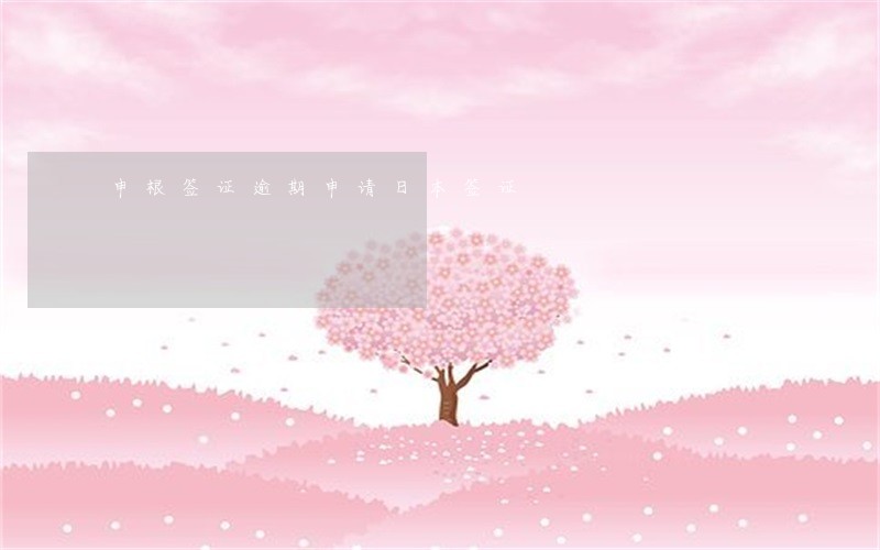 申根签证逾期申请日本签证 申根签证逾期申请日本签证