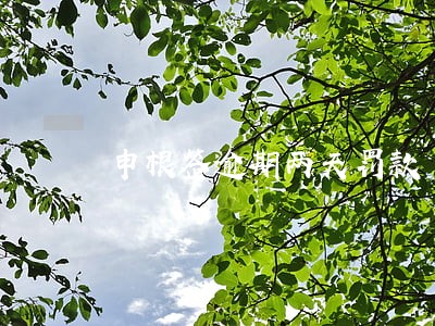 申根签逾期两天罚款