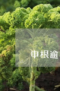 申根逾期美国签证 申根逾期美国签证