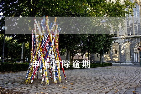 申诉消除逾期 申诉消除逾期