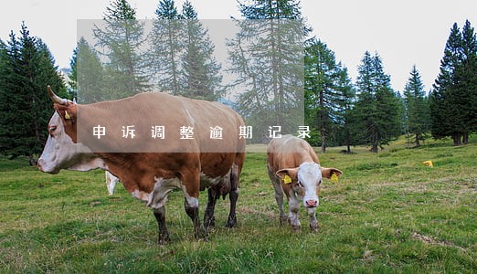 申诉调整逾期记录 申诉调整逾期记录