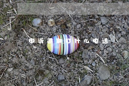 申诉逾期打什么电话 申诉逾期打什么电话