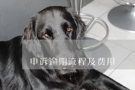 申诉逾期流程及费用 申诉逾期流程及费用